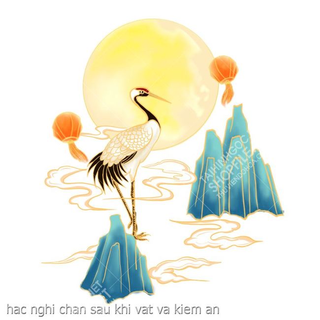 hac nghi chan sau khi vat va kiem an
